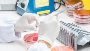 Food Testing